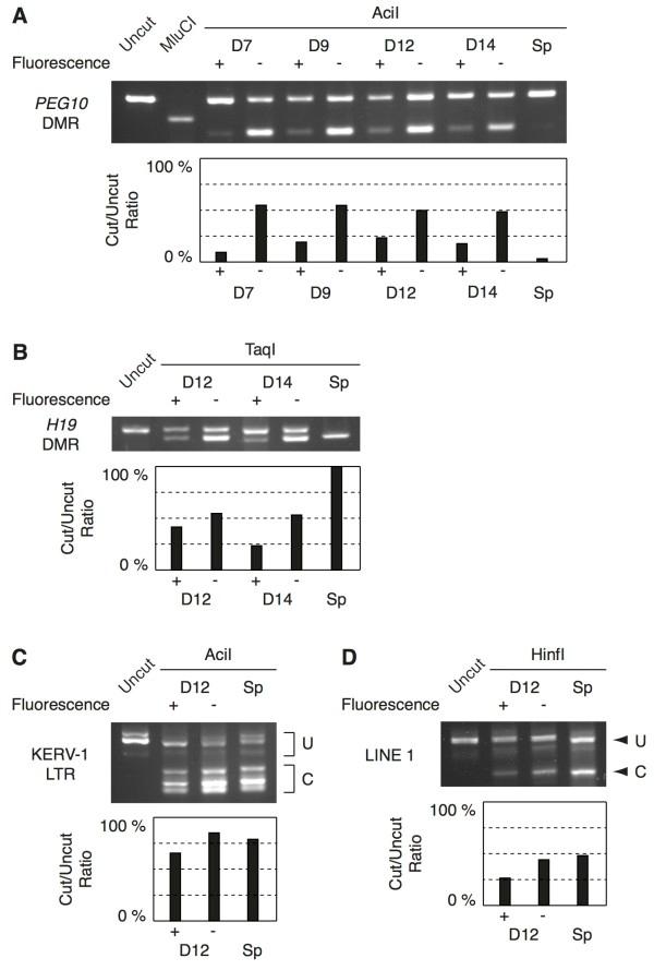https://cdn.ncbi.nlm.nih.gov/pmc/blobs/ed5a/3687581/5a248f4de502/1756-8935-6-14-4.jpg