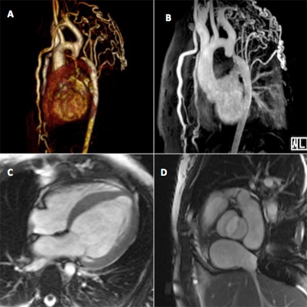 https://cdn.ncbi.nlm.nih.gov/pmc/blobs/ed5b/6346852/31b97be24772/692_Fig2.jpg