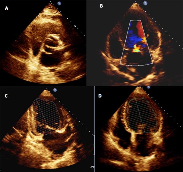 https://cdn.ncbi.nlm.nih.gov/pmc/blobs/ed5b/6346852/63b8377ef2d0/692_Fig1.jpg