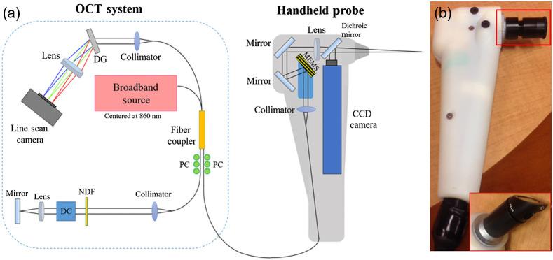 https://cdn.ncbi.nlm.nih.gov/pmc/blobs/ed5b/7690845/4fec85790884/JBO-025-116011-g001.jpg