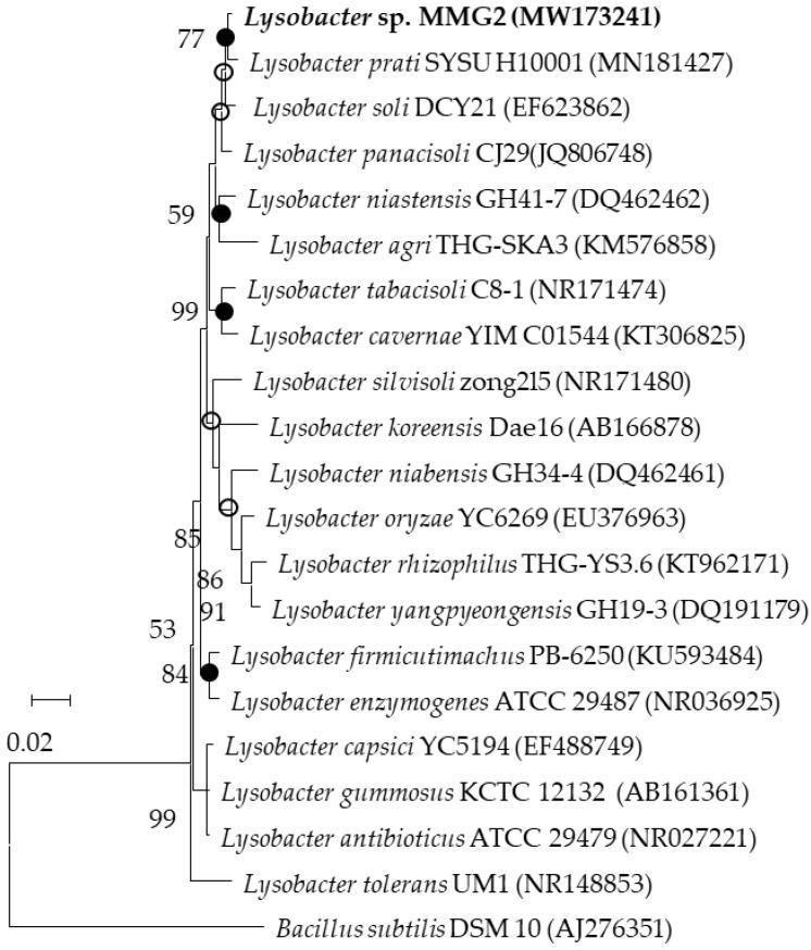 https://cdn.ncbi.nlm.nih.gov/pmc/blobs/ed5b/9325234/14d5769fa68d/microorganisms-10-01257-g001.jpg