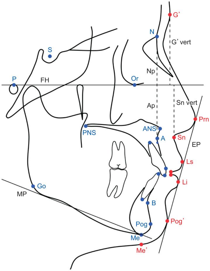 https://cdn.ncbi.nlm.nih.gov/pmc/blobs/ed5e/8964466/a2d3215f0c9e/kjod-52-2-150-f1.jpg