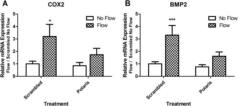 https://cdn.ncbi.nlm.nih.gov/pmc/blobs/ed61/3533782/5177a465c82d/stem0030-2561-f3.jpg