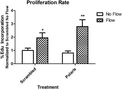 https://cdn.ncbi.nlm.nih.gov/pmc/blobs/ed61/3533782/8eafba97a6bd/stem0030-2561-f5.jpg