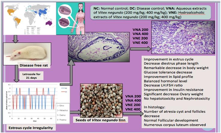 https://cdn.ncbi.nlm.nih.gov/pmc/blobs/ed61/6701941/a17800de6f77/fx1.jpg