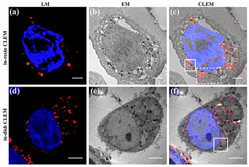 https://cdn.ncbi.nlm.nih.gov/pmc/blobs/ed63/10224488/007f4027d450/molecules-28-04063-g009.jpg