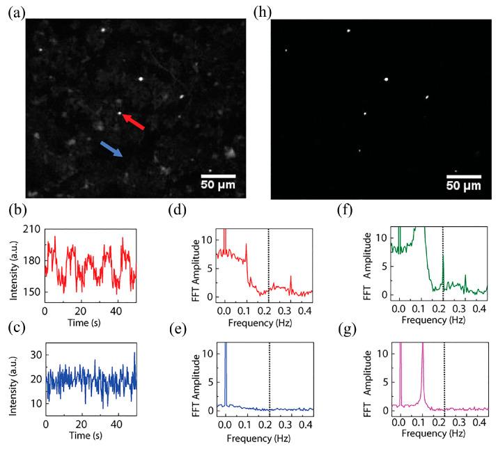 https://cdn.ncbi.nlm.nih.gov/pmc/blobs/ed63/10224488/33255efdf524/molecules-28-04063-g013.jpg