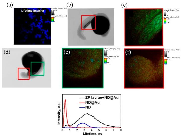 https://cdn.ncbi.nlm.nih.gov/pmc/blobs/ed63/10224488/422d1536f7ce/molecules-28-04063-g006.jpg