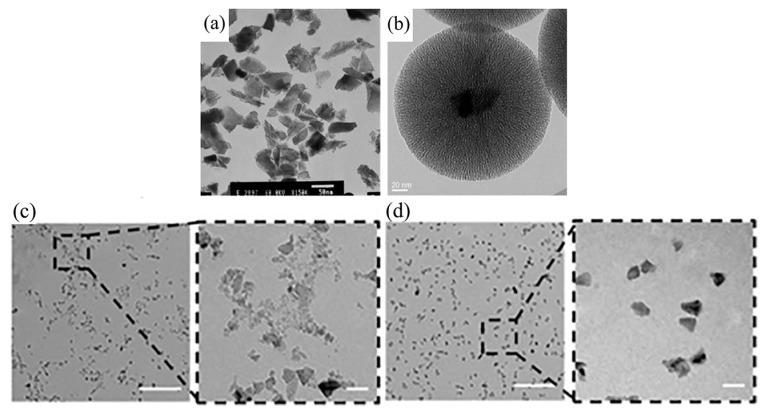https://cdn.ncbi.nlm.nih.gov/pmc/blobs/ed63/10224488/488eb4ecc085/molecules-28-04063-g003.jpg