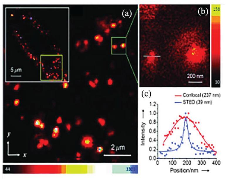 https://cdn.ncbi.nlm.nih.gov/pmc/blobs/ed63/10224488/7344e146fb9d/molecules-28-04063-g008.jpg