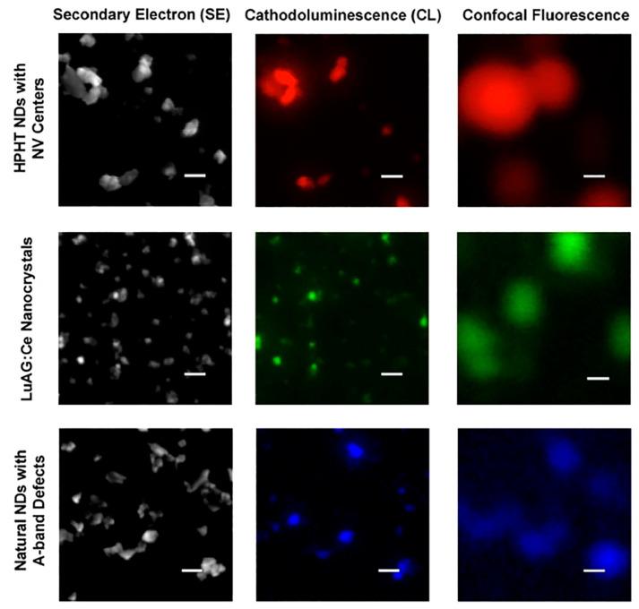 https://cdn.ncbi.nlm.nih.gov/pmc/blobs/ed63/10224488/b9ed9605a65e/molecules-28-04063-g015.jpg