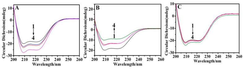 https://cdn.ncbi.nlm.nih.gov/pmc/blobs/ed64/10488934/a6805c0f7d03/materials-16-05821-g004.jpg
