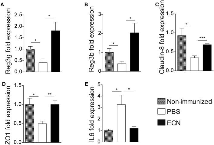 https://cdn.ncbi.nlm.nih.gov/pmc/blobs/ed64/5603654/57acfce1be69/fimmu-08-01096-g006.jpg