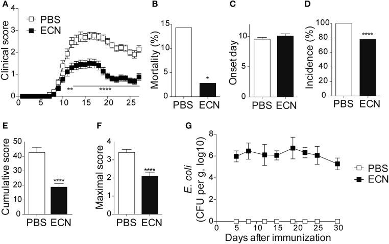 https://cdn.ncbi.nlm.nih.gov/pmc/blobs/ed64/5603654/b2d221d7798a/fimmu-08-01096-g001.jpg