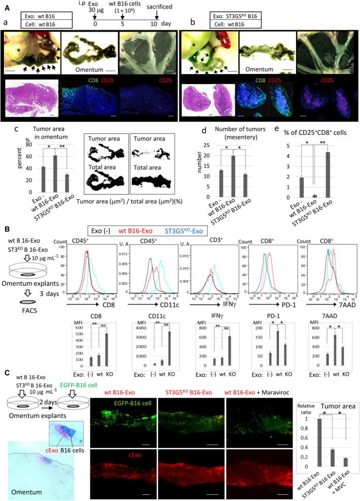 https://cdn.ncbi.nlm.nih.gov/pmc/blobs/ed65/10766203/5cbb845aa3d9/MOL2-18-21-g007.jpg