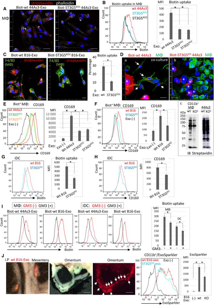https://cdn.ncbi.nlm.nih.gov/pmc/blobs/ed65/10766203/7f19296f9786/MOL2-18-21-g006.jpg