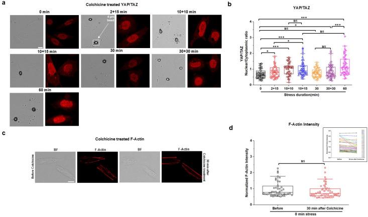 https://cdn.ncbi.nlm.nih.gov/pmc/blobs/ed65/12009147/0e615f8549b3/ABPID9-000009-026107_1-g004.jpg