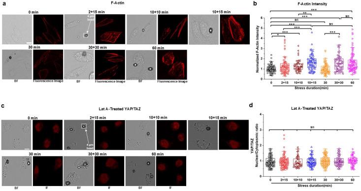 https://cdn.ncbi.nlm.nih.gov/pmc/blobs/ed65/12009147/1d1c3804bef8/ABPID9-000009-026107_1-g002.jpg