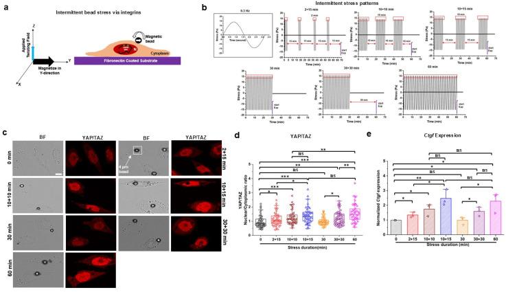 https://cdn.ncbi.nlm.nih.gov/pmc/blobs/ed65/12009147/4fd4a5cfbedb/ABPID9-000009-026107_1-g001.jpg