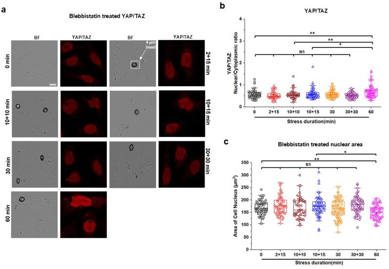 https://cdn.ncbi.nlm.nih.gov/pmc/blobs/ed65/12009147/fc986afe9aa5/ABPID9-000009-026107_1-g003.jpg