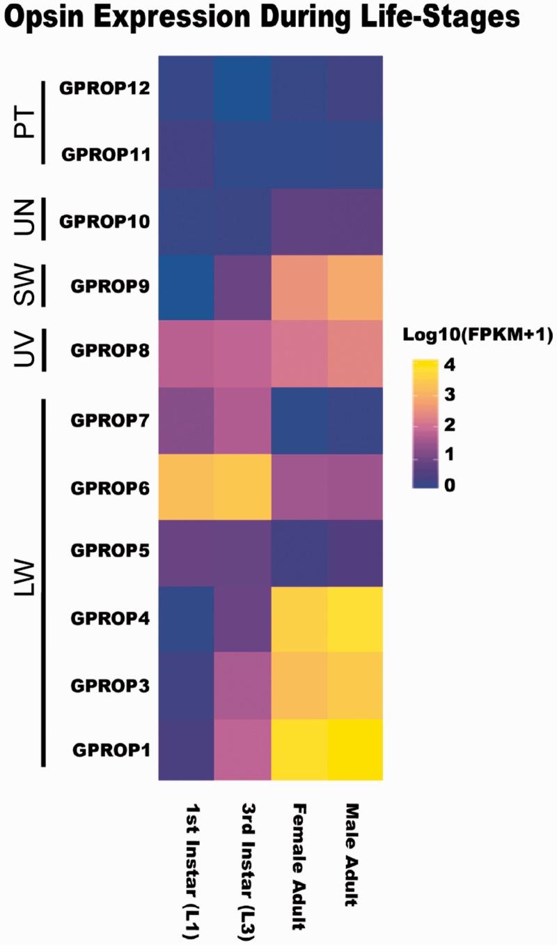 https://cdn.ncbi.nlm.nih.gov/pmc/blobs/ed65/4445134/b12d76f44e56/tjv024f5p.jpg