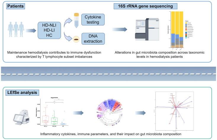https://cdn.ncbi.nlm.nih.gov/pmc/blobs/ed66/12082729/6272cbba7bdb/IRNF_A_2498630_UF0001_C.jpg