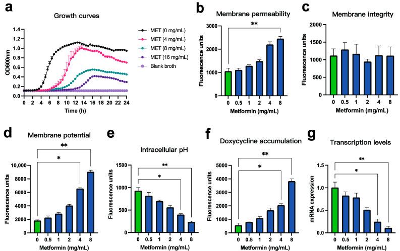 https://cdn.ncbi.nlm.nih.gov/pmc/blobs/ed67/12388482/5d203ef3f739/microorganisms-13-01724-g004.jpg