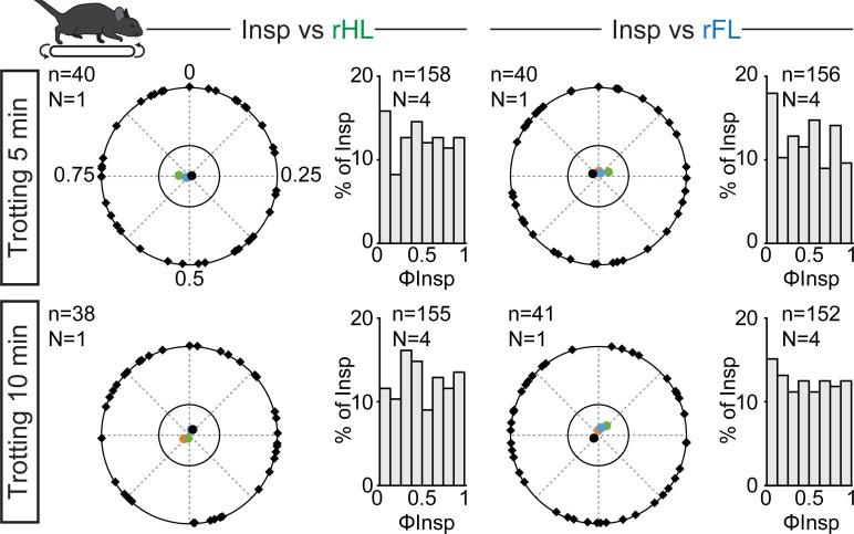 https://cdn.ncbi.nlm.nih.gov/pmc/blobs/ed68/7707822/419045de1ad6/elife-61919-fig3-figsupp1.jpg