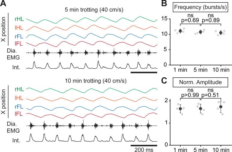 https://cdn.ncbi.nlm.nih.gov/pmc/blobs/ed68/7707822/82cd2fc30286/elife-61919-fig2-figsupp1.jpg