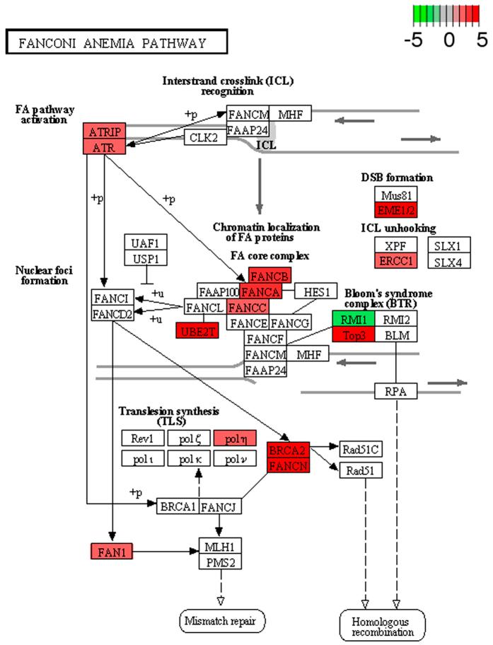 https://cdn.ncbi.nlm.nih.gov/pmc/blobs/ed69/5146665/626911c900bb/srep38624-f3.jpg