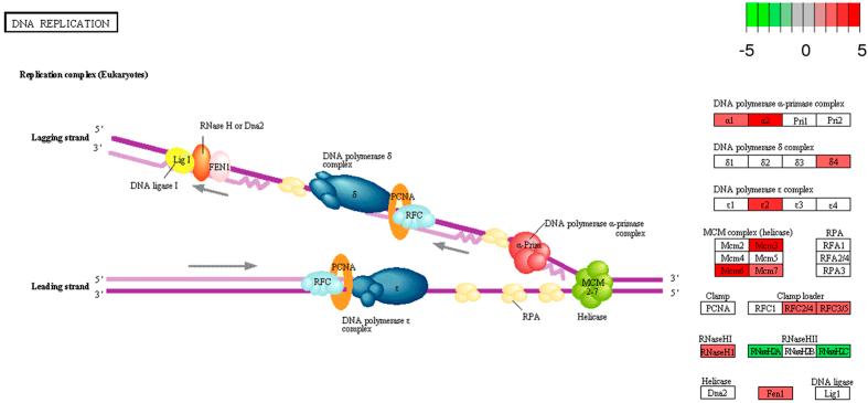 https://cdn.ncbi.nlm.nih.gov/pmc/blobs/ed69/5146665/b9809941c404/srep38624-f2.jpg