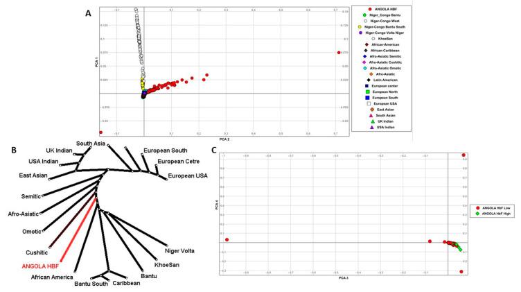 https://cdn.ncbi.nlm.nih.gov/pmc/blobs/ed6c/11049512/c142d62fad23/genes-15-00469-g002.jpg