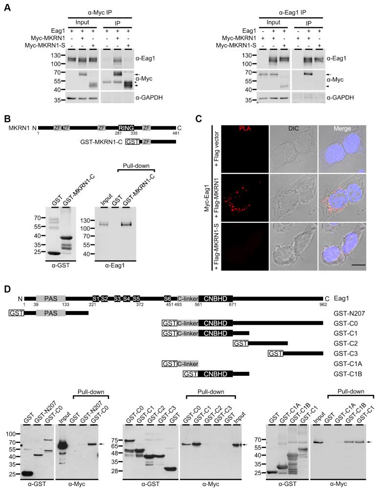 https://cdn.ncbi.nlm.nih.gov/pmc/blobs/ed6d/8039722/9794478f6145/gr1.jpg