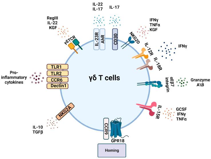 https://cdn.ncbi.nlm.nih.gov/pmc/blobs/ed70/10855551/b781f07f6044/ijms-25-01747-g003.jpg