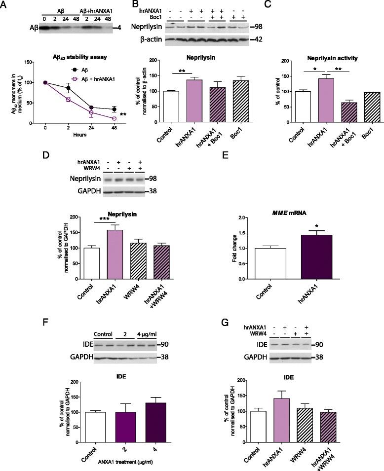 https://cdn.ncbi.nlm.nih.gov/pmc/blobs/ed71/5010757/a0ba288a0392/12974_2016_692_Fig4_HTML.jpg