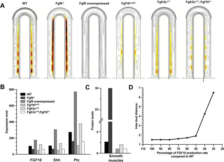 https://cdn.ncbi.nlm.nih.gov/pmc/blobs/ed73/3507219/c94a2b9d82c5/bio-01-08-775-f06.jpg