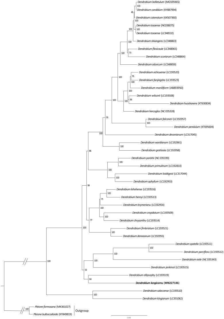 https://cdn.ncbi.nlm.nih.gov/pmc/blobs/ed73/7706476/1ef0c58e1a9a/TMDN_A_1666049_F0001_B.jpg
