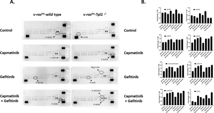 https://cdn.ncbi.nlm.nih.gov/pmc/blobs/ed74/8947257/498284897e06/pone.0266017.g007.jpg