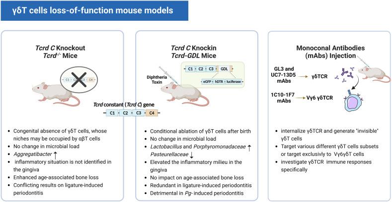 https://cdn.ncbi.nlm.nih.gov/pmc/blobs/ed74/9871479/b87e9ed23073/fimmu-13-1050030-g003.jpg