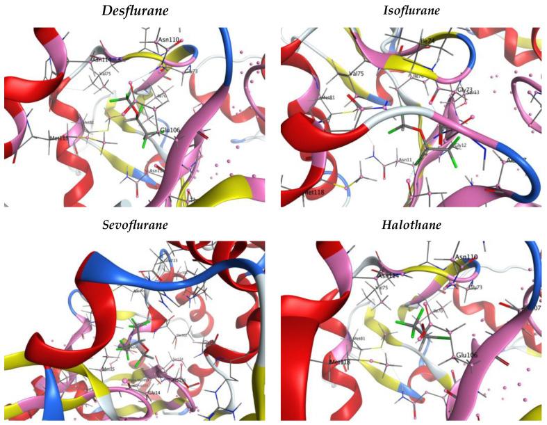 https://cdn.ncbi.nlm.nih.gov/pmc/blobs/ed77/10819646/96d14f8740e0/pharmaceuticals-17-00037-g003.jpg