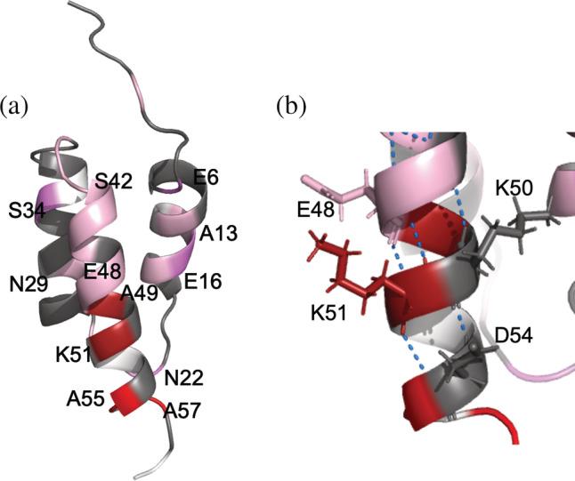 https://cdn.ncbi.nlm.nih.gov/pmc/blobs/ed77/9926473/0e7497478d8f/PRO-32-e4569-g002.jpg