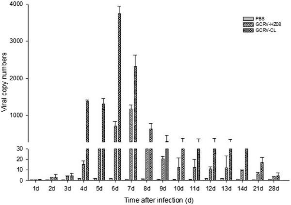 https://cdn.ncbi.nlm.nih.gov/pmc/blobs/ed78/4195869/04261eb317d2/12985_2014_2504_Fig5_HTML.jpg