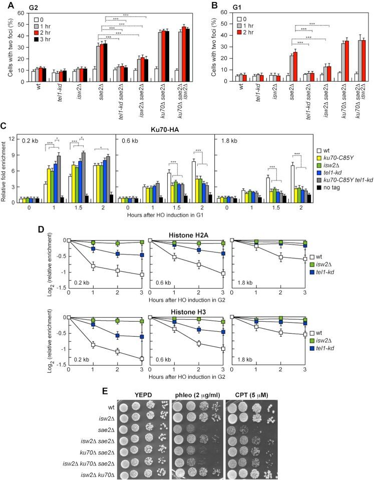 https://cdn.ncbi.nlm.nih.gov/pmc/blobs/ed78/9976877/fdbe599dedd6/gkad062fig7.jpg