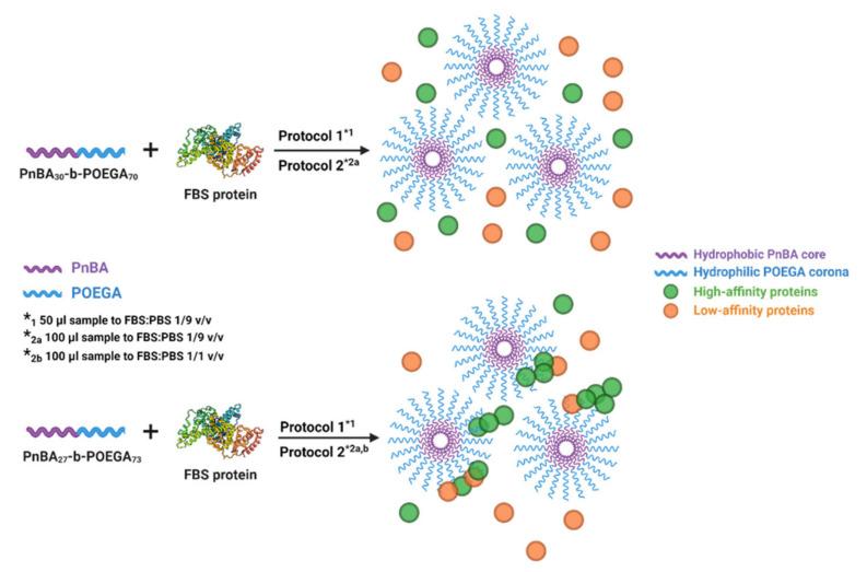 https://cdn.ncbi.nlm.nih.gov/pmc/blobs/ed7a/8038588/b471d80d42cd/polymers-13-01164-sch004.jpg
