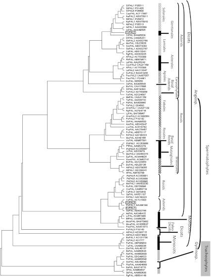 https://cdn.ncbi.nlm.nih.gov/pmc/blobs/ed7c/3382651/7c9108a8ff22/425_2012_1613_Fig2_HTML.jpg