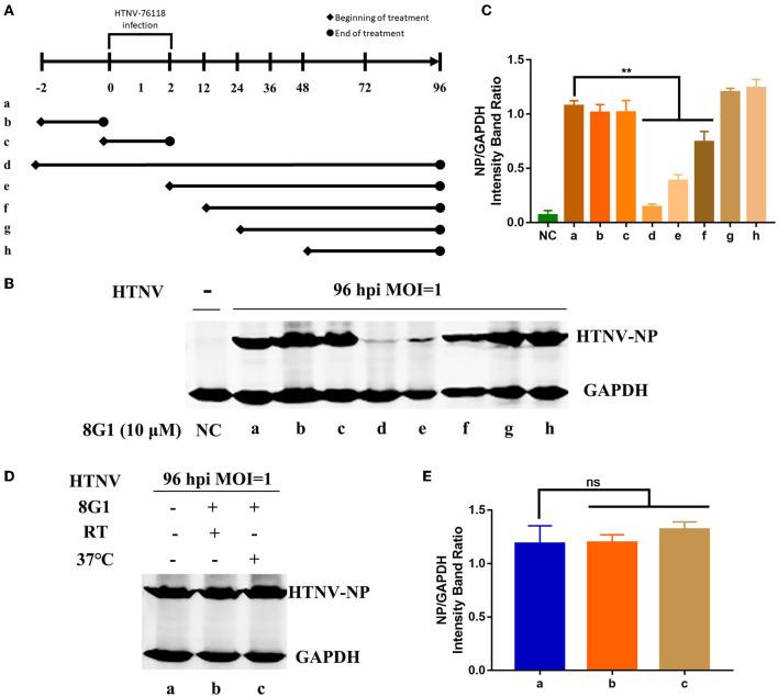 https://cdn.ncbi.nlm.nih.gov/pmc/blobs/ed7c/9279581/3cc9d3eeedfe/fmicb-13-880258-g0005.jpg