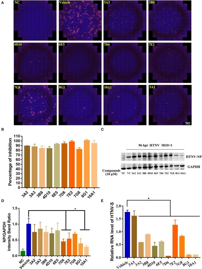 https://cdn.ncbi.nlm.nih.gov/pmc/blobs/ed7c/9279581/abab6314cd93/fmicb-13-880258-g0002.jpg