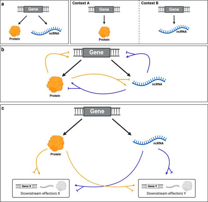 https://cdn.ncbi.nlm.nih.gov/pmc/blobs/ed7f/11369213/4a275e981f15/41422_2024_975_Fig4_HTML.jpg