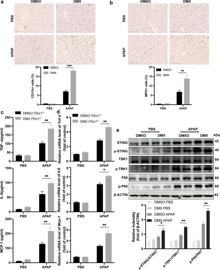 https://cdn.ncbi.nlm.nih.gov/pmc/blobs/ed81/10693536/c81601ad4f34/10565_2023_9800_Fig6_HTML.jpg
