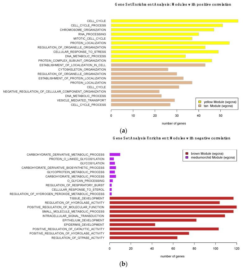 https://cdn.ncbi.nlm.nih.gov/pmc/blobs/ed81/6628375/13f2637da448/genes-10-00477-g005.jpg